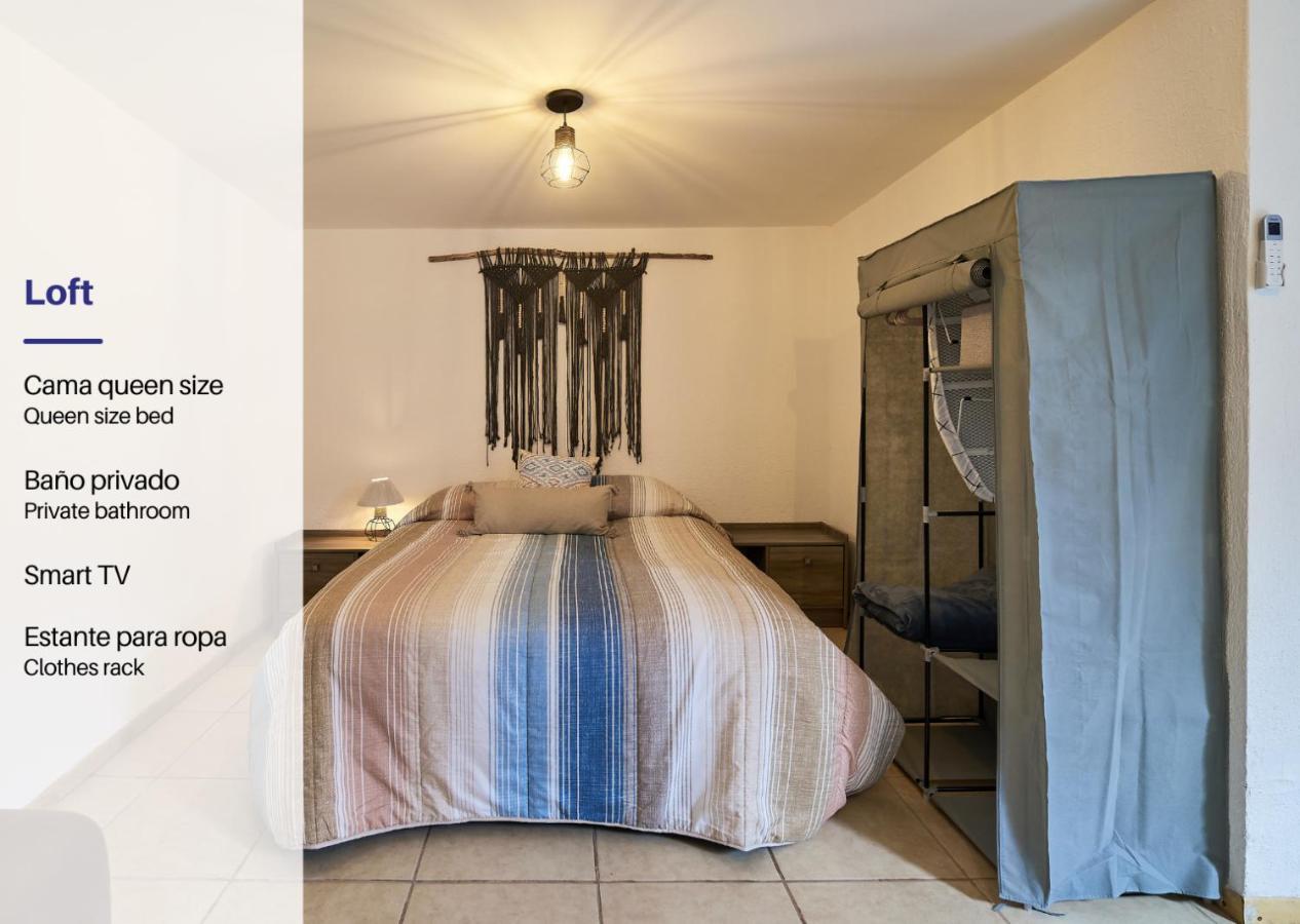 Cozy Studio In Roma Norte 墨西哥城 外观 照片